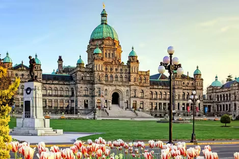 https://amensecurity.ca/Harbor Business